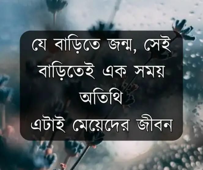 bengali love shayari